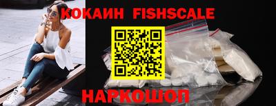 крисы Кингисепп