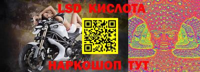 крисы Кингисепп