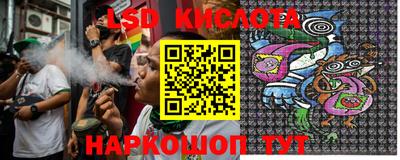 крисы Кингисепп
