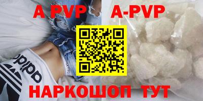 крисы Кингисепп