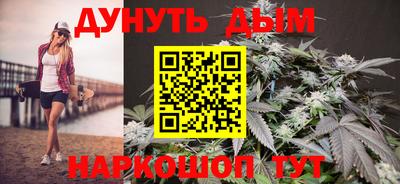 индика Кинель