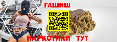 крисы Кингисепп