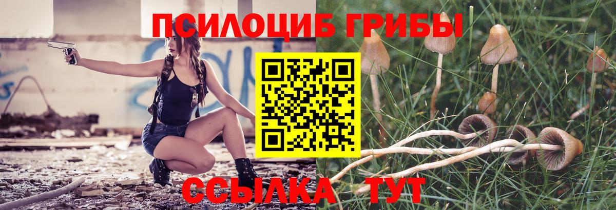 Геленджик  Галлюциногенные грибы Psilocybine cubensis  Вход с VPN 